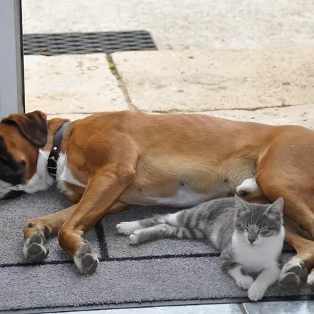 Bed & Breakfast Clos San Gianni