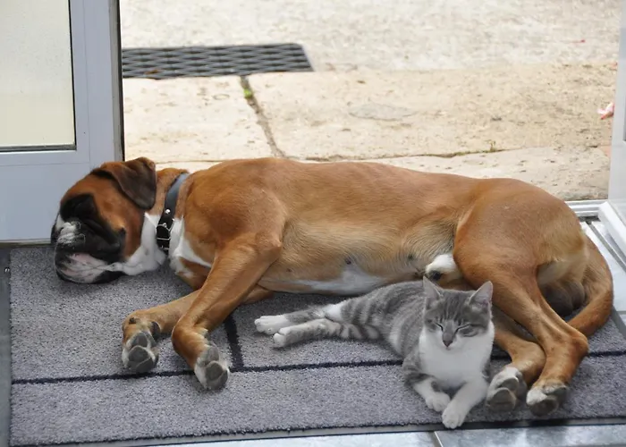 ベッド・アンド・ブレックファスト Clos San Gianni