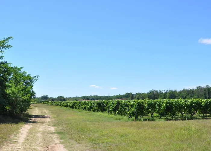 Clos San Gianni Bed and Breakfast 3*